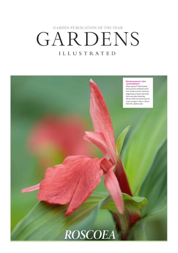 Harvington Roscoea Gardens Illustrated